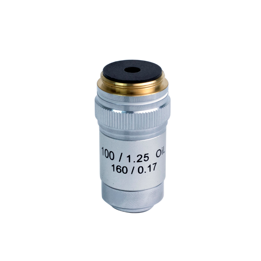 Oil-Immersion Achromatic Objective 100x