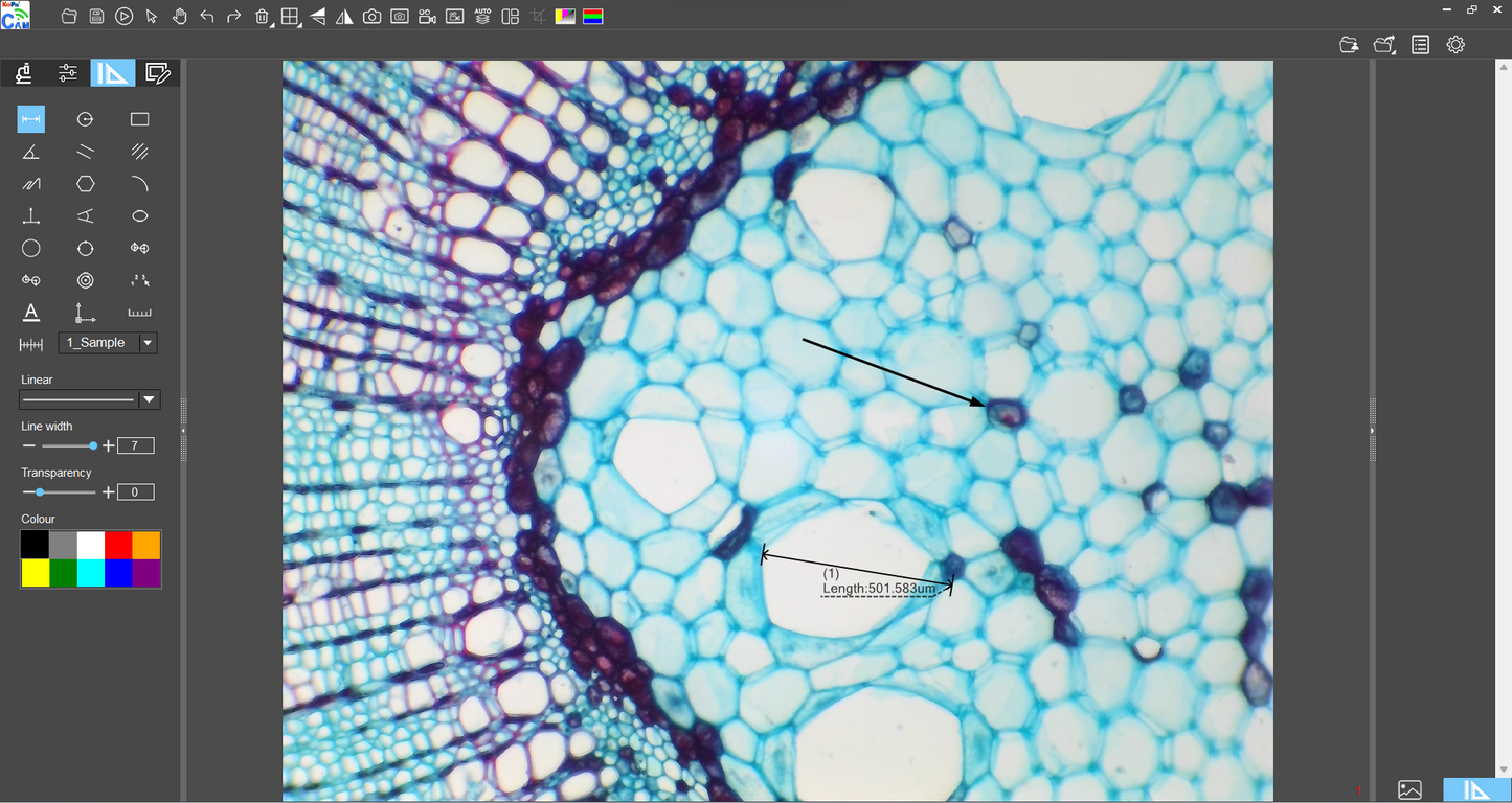 WiFi Microscope Camera 12.0 MP image 5